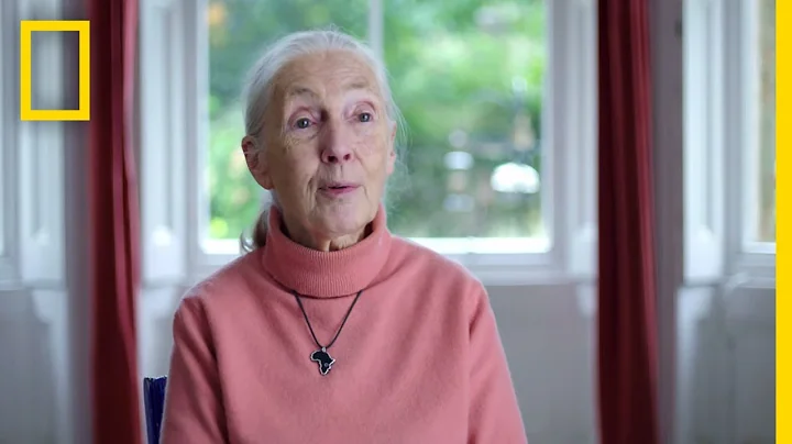 Jane Goodall: The Hope  Trailer | National Geograp...