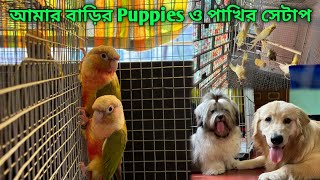 The Setup Of Puppies And Birds In My House  | Cute Golden Retriever & Lhasa Apso ❤