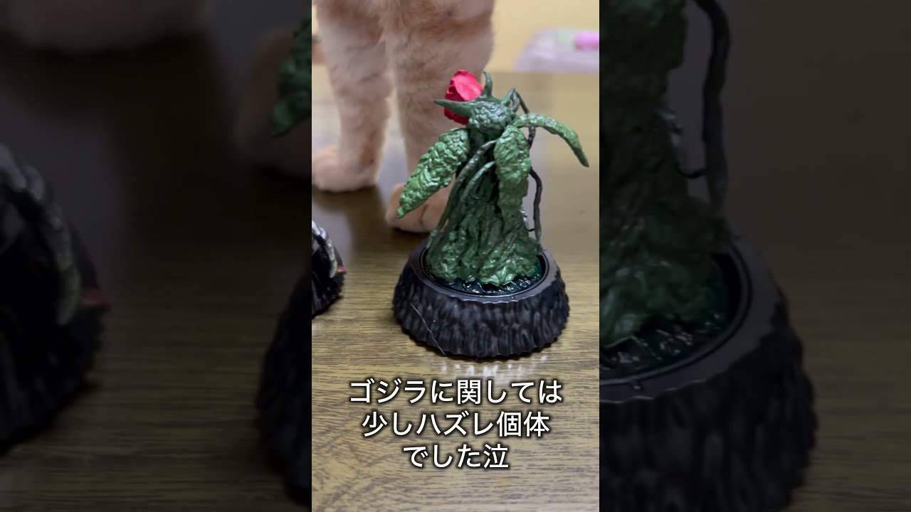 HG D+ ゴジラ02買ってみました！ #ゴジラ #godzilla