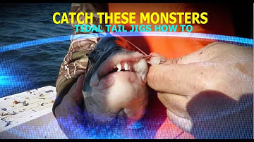 HOW TO RIG CRAB BAITS FOR BLACKFISH - TAUTOG