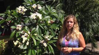 Massage in Ocean Beach San Diego, CA 92107 with Marisa Young