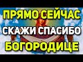 Сильнейшая молитва на Введение во Храм Пресвятой Богородице!