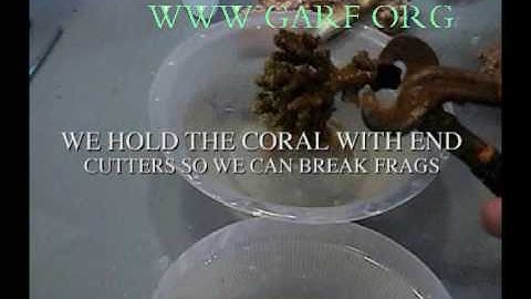 SPS Propagation Part 2