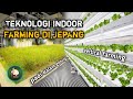 Indoor Farming | Inilah Teknologi Pertanian dalam Gedung di Jepang