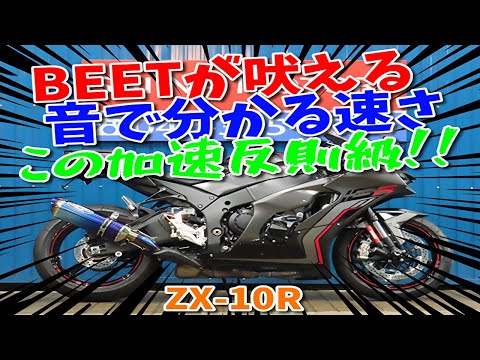 □Shiina Motors Ichikawa Store Super Sports Hall□Kawasaki Ninja