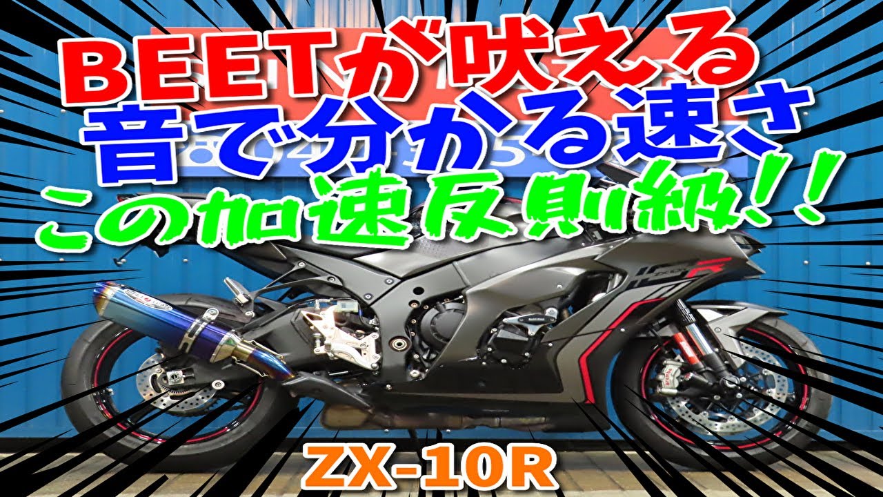 shina様限定 □Shiina Motors Ichikawa Store Super Sports Hall□Kawasaki Ninja