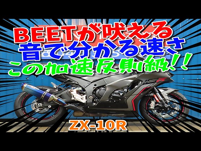 □Shiina Motors Ichikawa Store Super Sports Hall□Kawasaki Ninja
