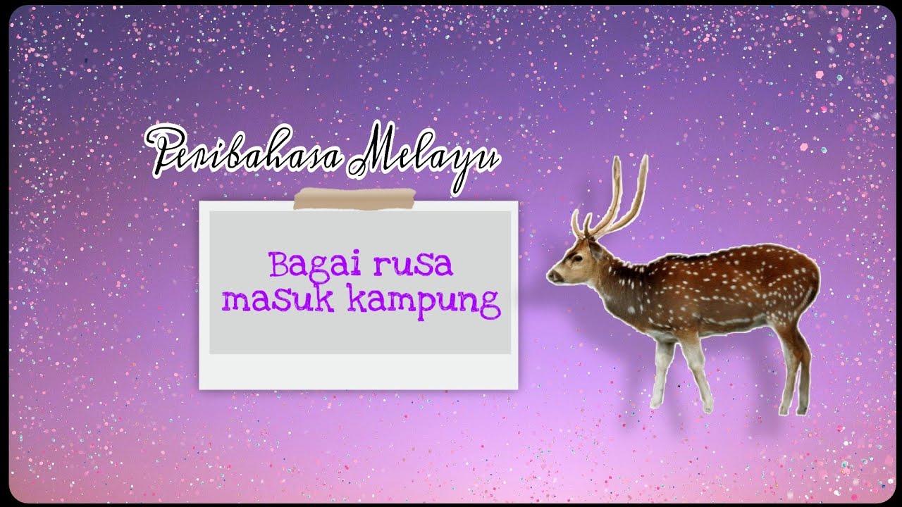 Seperti rusa masuk kampung