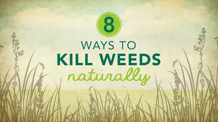 8 Ways to Kill Weeds Naturally - DayDayNews