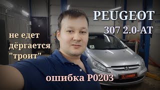 : Peugeot 307 -    . P0201, P0202, P0203, P0204.