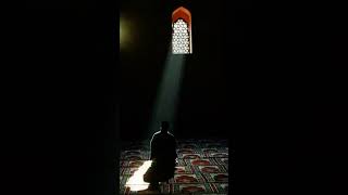 стойкость #умма #религия #allah #напоминания #напоминание #субханаллах #аллах #sabr