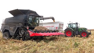 *NEW* Fendt Ideal 7T | Capello Diamant HS8 | Trebbiatura mais 2020