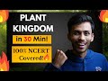 Plant kingdom in 30 min  fast revision one shot ncert line to line  class 11  neet