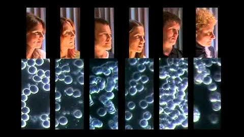 Introduction to EFT- The original video from EFT Founder, Gary Craig