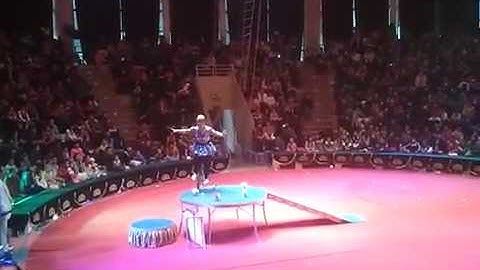 Xem Nghệ Sĩ Biểu Diễn Tại Rạp Xiếc Trung Ương