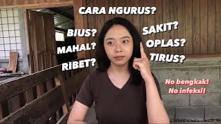 JANGAN TAKUT! Operasi Cabut 4 Gigi Bungsu   QnA Answered!