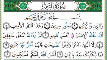 سورة التين بصوت الشيخ أحمد بدوي