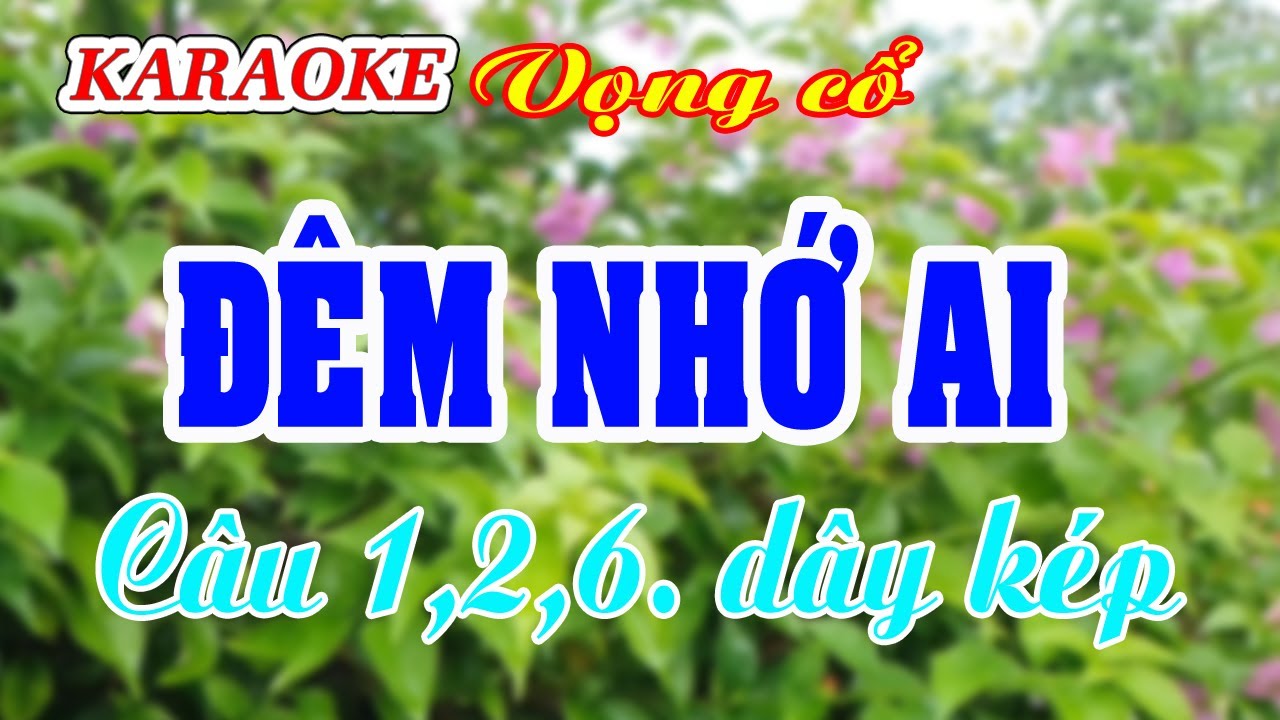 KARAOKE   ĐÊM NHỚ AI _ VC 1,2,6. Dây kép