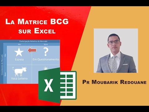 La Matrice BCG sur Excel  (1/3) - En français