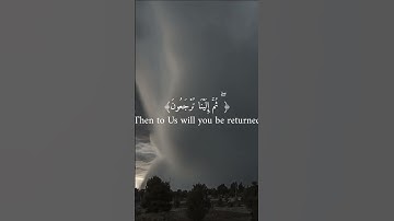 كلا نفس ذائقة الموت |سورة العنكبوت| #قران_كريم #اكسبلور #المصحف #راحة_نفسية #استرخاء #آيات #quran
