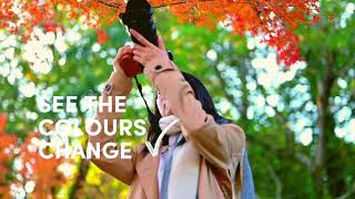 Check Off Your Muskoka Bucket List At Deerhurst Resort