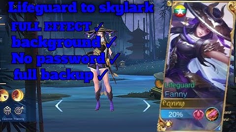 SCRIPT LIFEGUARD TO SKYLARK FULL EFFECT!! NO PASSWORD