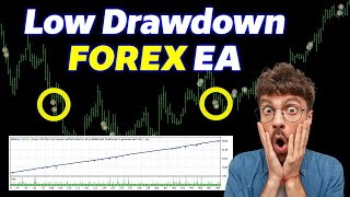 Best Low Drawdown Forex EA - Proven 91% Win Rate!