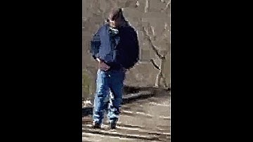 Delphi Murders. (Delphi_MotionFix.webm) aka The BG Bridge Walk Video, A Closer Look.