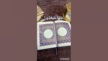 قران كريم بصوت كأنه من السماء اجمل صوت  أرح سمعك وقلبك راحه نفسيه #محمد الغزالي #الهدى والضياء