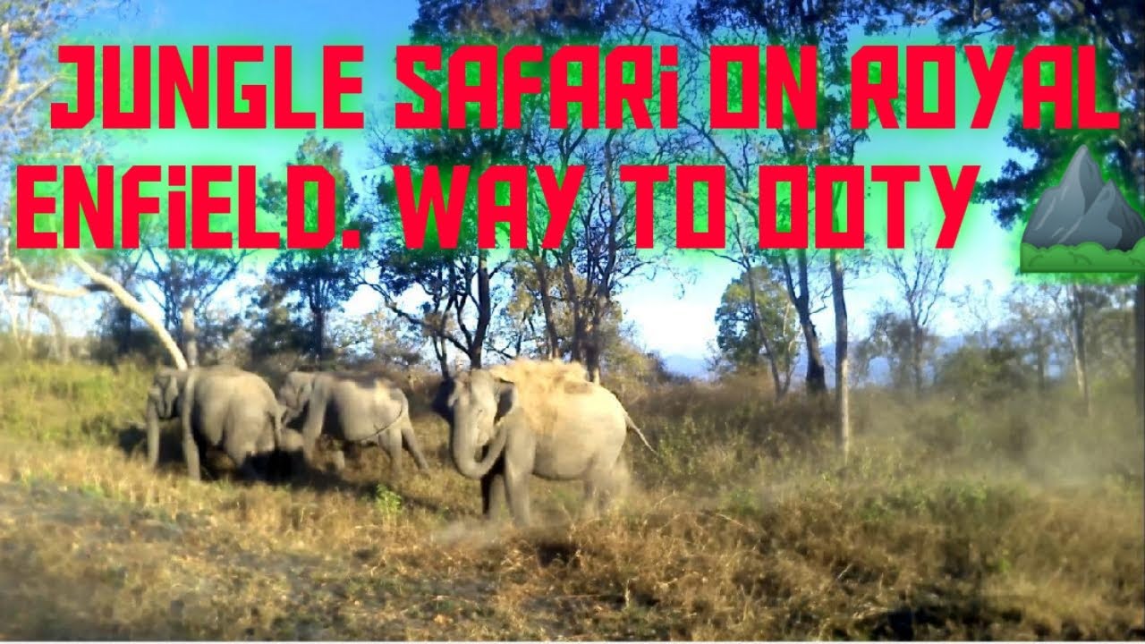 [BULLET.RAJA] Bangalore to Ooty Royal trip. Don't miss the end! - YouTube