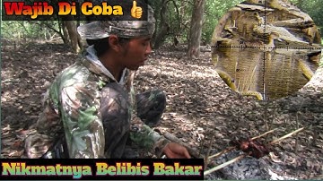 Hunting Belibis Di Spot Idola