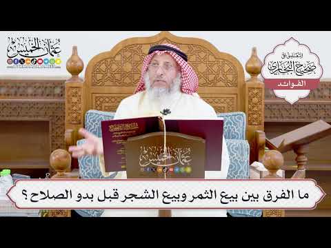 [938] ما الفرق بين بيع الثمر وبيع الشجر قبل بدو الصلاح؟ - عثمان الخميس