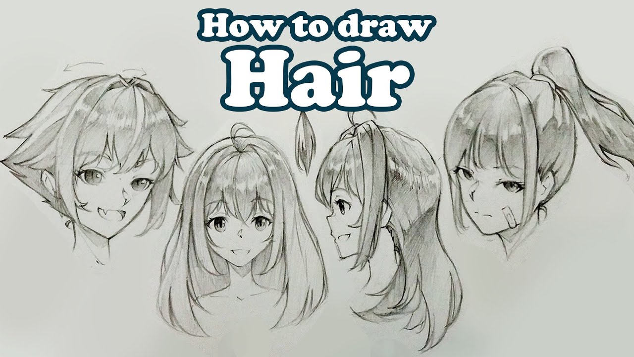 Anime Hairstyle Female Hair Reference | How to draw hair, Drawing hair  tutorial, Drawings