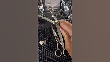 Immediately compare your sharpened scissors to the edges on a new shear. GAME OVER!