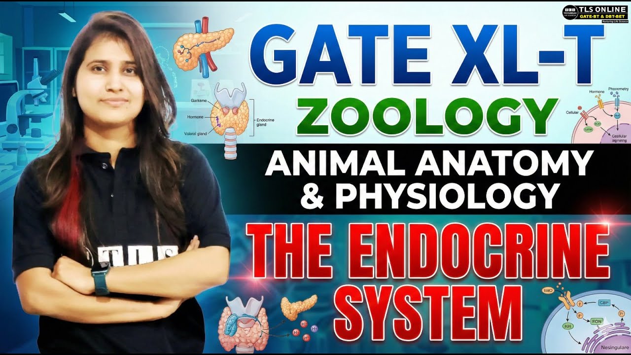 𝐆𝐀𝐓𝐄 𝐗𝐋-𝐓 𝐙𝐨𝐨𝐥𝐨𝐠𝐲 | 𝐀𝐧𝐢𝐦𝐚𝐥 𝐀𝐧𝐚𝐭𝐨𝐦𝐲 & 𝐏𝐡𝐲𝐬𝐢𝐨𝐥𝐨𝐠𝐲 | 𝐓𝐡𝐞 𝐄𝐧𝐝𝐨𝐜𝐫𝐢𝐧𝐞 𝐒𝐲𝐬𝐭𝐞𝐦