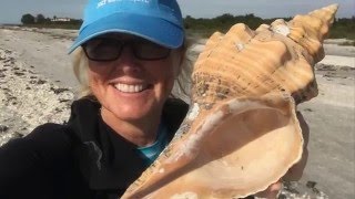 Sanibel's Storm Of Beach Bling