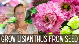 Growing Lisianthus  An Easy How To Guide  || Growing Lisianthus From Seed || Cut Flower Garden