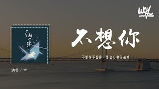 TC - 不想你「不想你不想你思念它带着后劲」(4k Video)【動態歌詞/pīn yīn gē cí】#TC #不想你 #動態歌詞