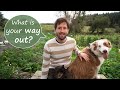 How I Quit The Rat Race | Six Ways To Start A Smallholding