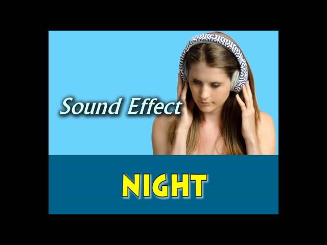 night sound effect class=