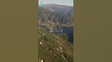 📖 سورة الهمزة كاملة | القارئ يوسف الصقير 🎧 تلاوة خاشعة
