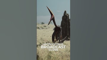 Distant Calls: Hatzegopteryx