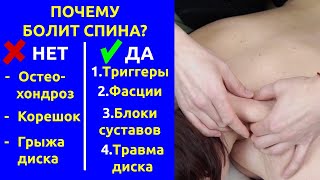 Почему Болит Спина? 4 Компонента Болей В Пояснице И Шее