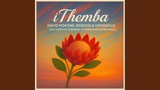 Download lagu iThemba (Radio Edit)