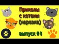 Смешные коты Приколы с котами (нарезка) Выпуск # 1