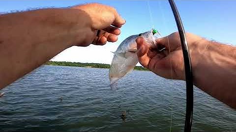 Post spawn crappie, crappie on jigs, jigging timber for crappie