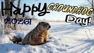Happy Groundhog Day ;)
