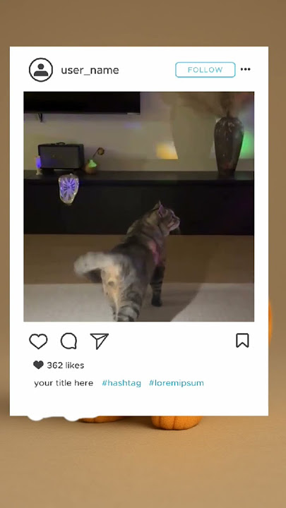 dugem ah #editkucing #videolucu #remix