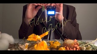 ASMR | 꽃 🌼 dry flower asmr/ asmr / zommh1n