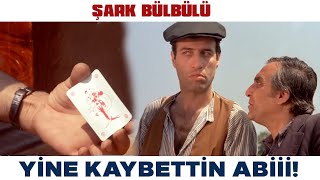 Şark Bülbülü Türk Filmi | Bul Karayı Al Parayı! Resimi